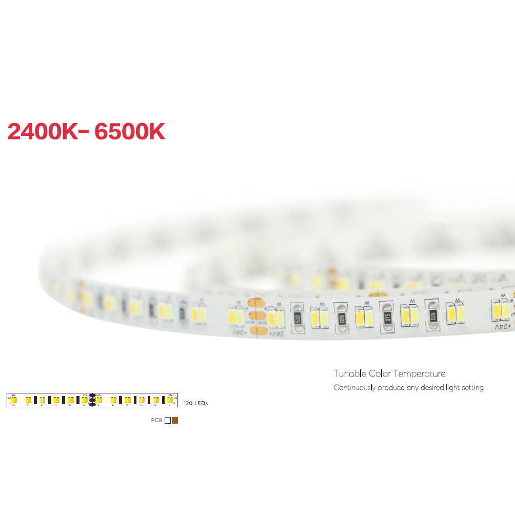 Color Temperature Adjustable 3014 LED Strip.jpg
