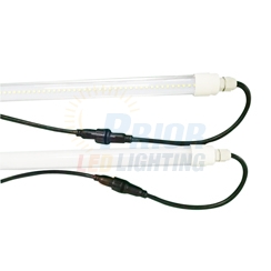 Underwater IP68 LED T8